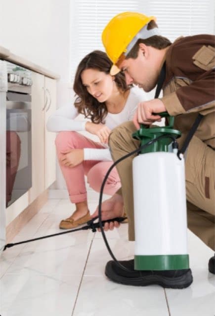 24/7 Pest Control NYC