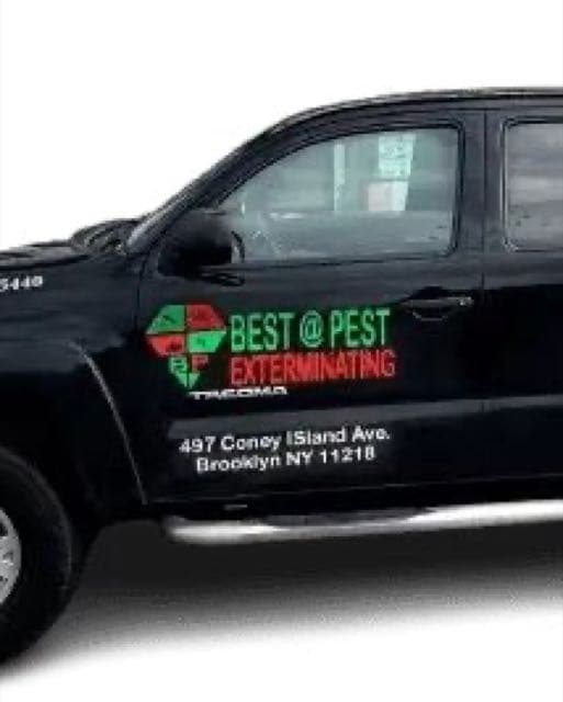 Best@Pest Exterminating