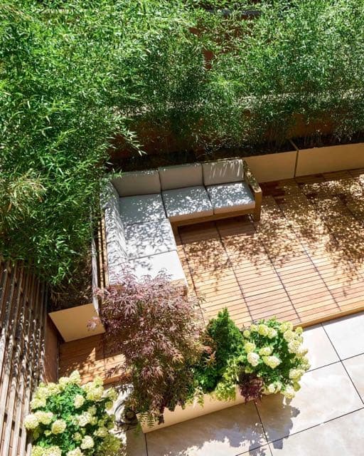 Birch and Basil Design