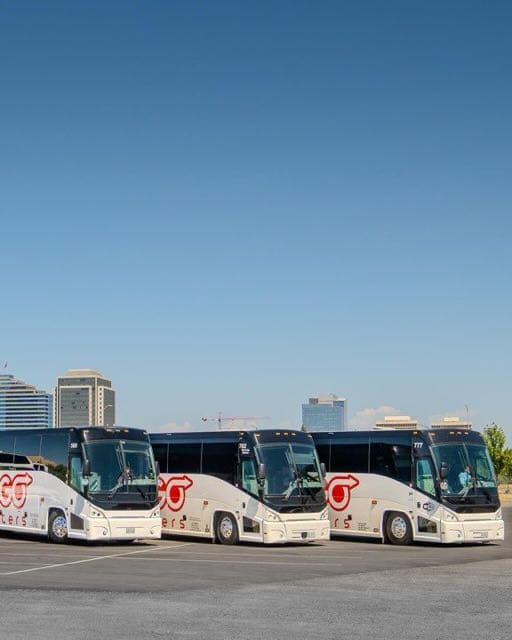 Gogo Charters New York
