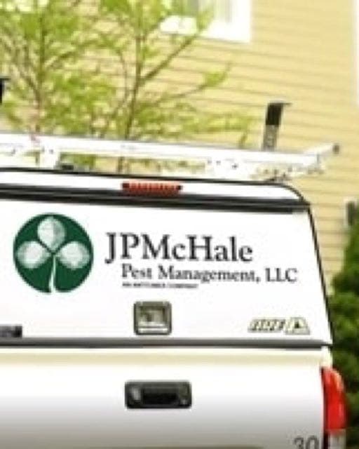JP McHale Pest Management