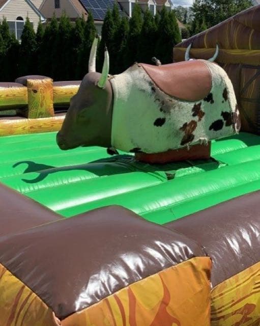 Party Perfect Rentals