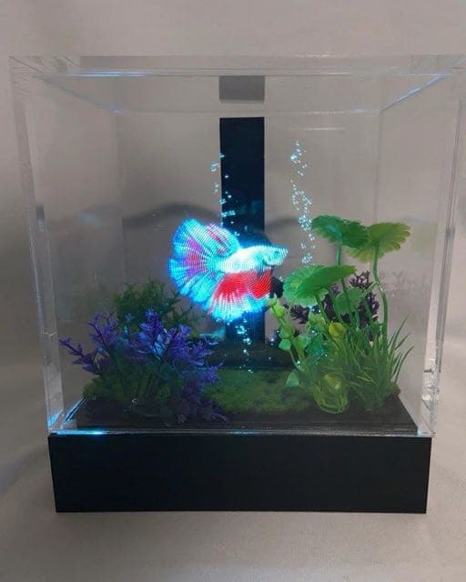 Showcase Holograms