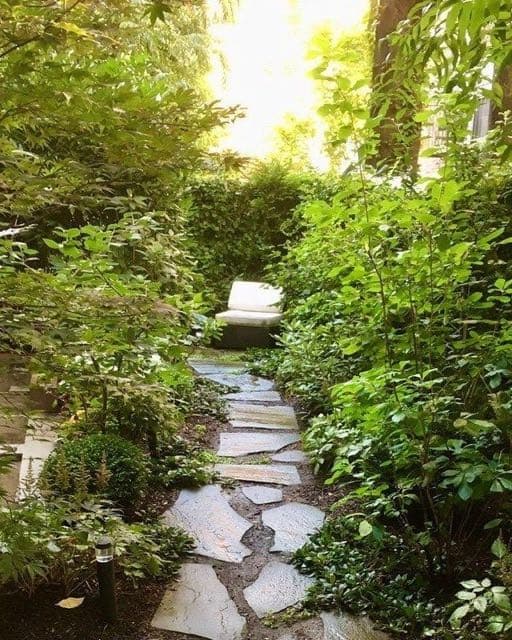 Staghorn NYC Landscape Design